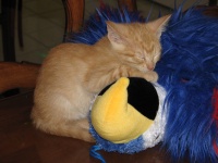 20100206 458.JPG